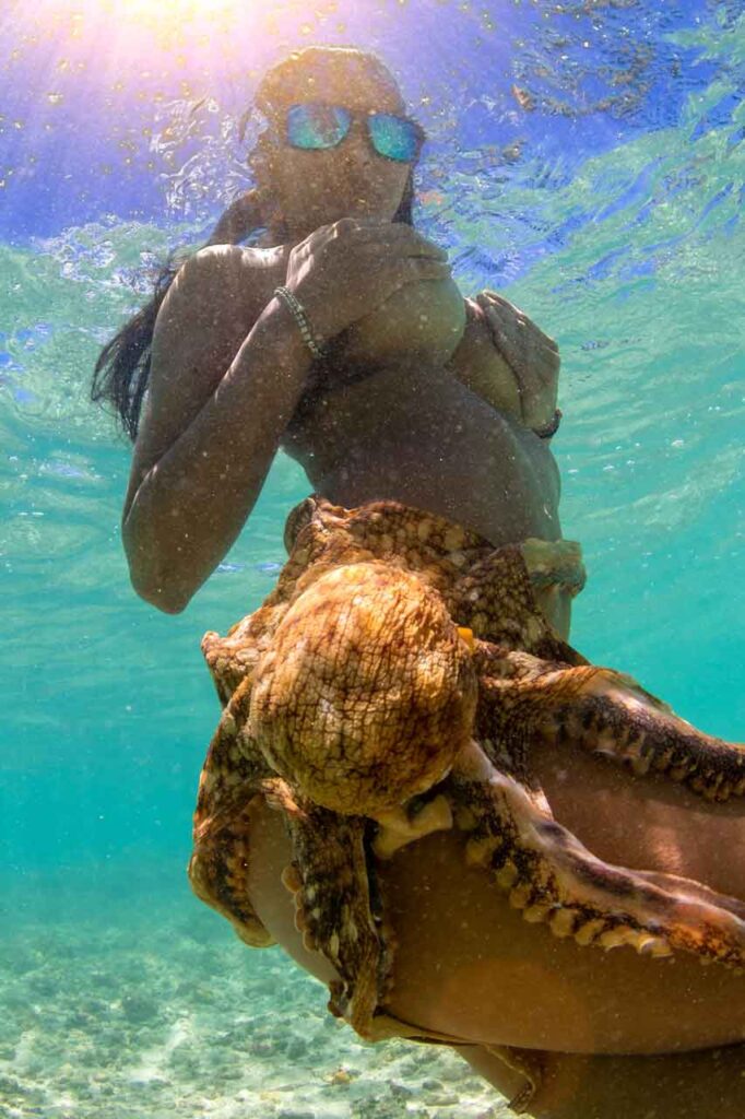 Descubre la Vida Bomber 3 Modelo de gafas de sol Bomber Floating Eyewear haciéndose pasar por una sirena cubierta por un pulpo vivo